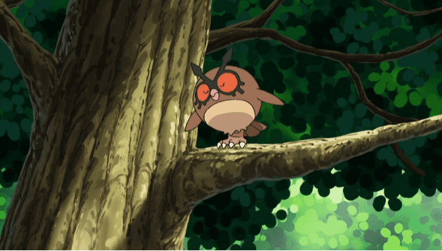 Hoothoot durmiendo en el anime 